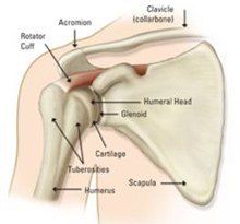Shoulder Management